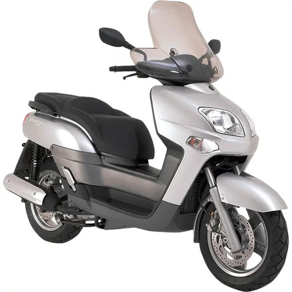 Piese Motociclete Yamaha - VERSITY 300 2003+