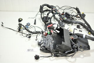 Ducati Monster 937 2021 2025 Instalatie electrica completa