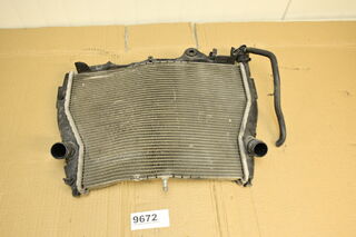BMW S1000R K47 2017 - 2020 Radiator racire apa