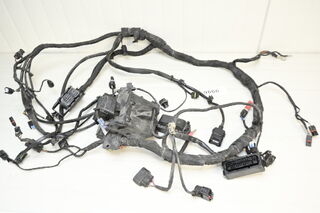 BMW S1000R K47 2017 - 2020 Instalatie electrica