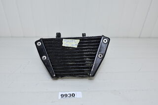 Ducati Monster 1200 16 - 19 Radiator ulei