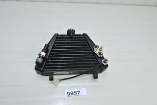 Ducati Diavel 1260 / X-Diavel 2019 - 2022 Radiator ulei