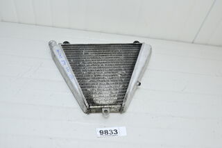 Ducati Panigale 899 1199 1299 Radiator Ulei