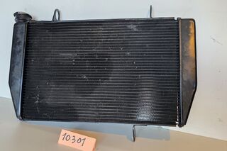 Radiator apa antigel  Ducati Multistrada 1200 2015-2018 + ventilator