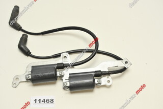 Bobine De Aprindere Stanga Dreapta Aprilia RSV 1000 1998 - 2003