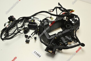 Instalatie Electrica Ducati Streetfighter V4 2018 - 2024