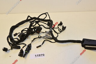 Instalatie Electrica Motor BMW F650GS 2006 - 2011