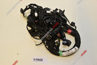 Instalatie Electrica Ducati Scrambler 800 2016