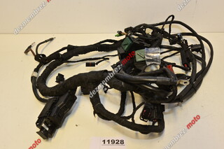 Instalatie electrica BMW S1000XR K49 8358422