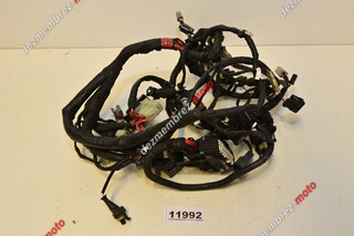 Instalatie electrica Ducati Monster 696