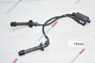 Bobina Bobine De Aprindere Yamaha FZ6 2004 - 2009