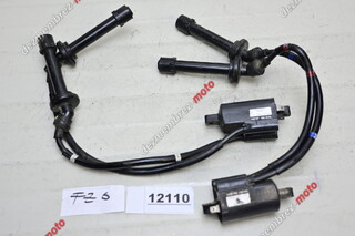 Set Bobina Bobine De Aprindere Yamaha FZ6 2004 - 2009