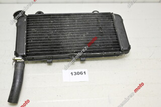 Radiator Apa Yamaha MT-03 2006 - 2014