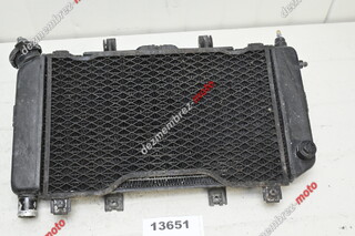 Radiator Apa Yamaha TDM 850 4TX 1996 - 2001