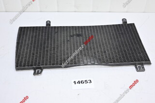Grila Radiator BMW F800GS 2008 - 2012