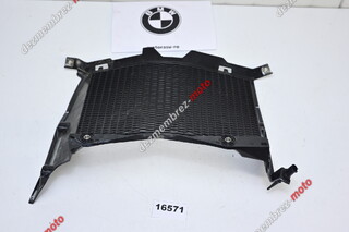 Grila Carena Radiator BMW F900GS 2024 - 2026