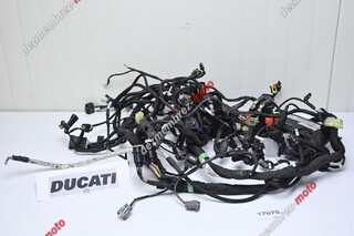 Instalatie Electrica Ducati Multistrada V4 2021 - 2025