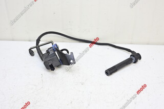 Bobina Bobine Inductie Aprindere Ducati Diavel 1260 / XDiavel / Multistrada 1260