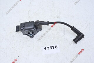 Bobina Bobine Inductie Aprindere Ducati Diavel 1260 / XDiavel / Multistrada 1260